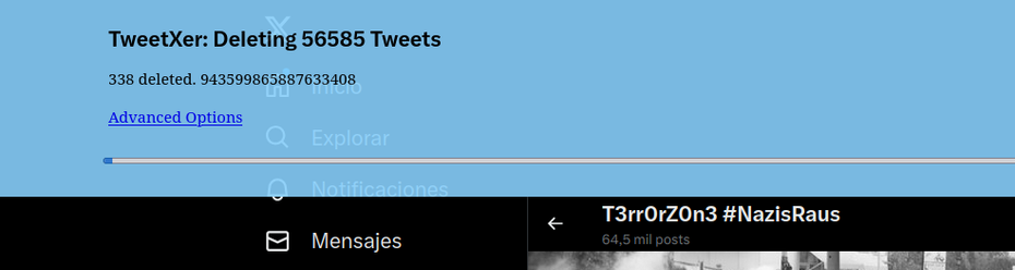 Captura de pantalla de una interfaz de usuario que muestra un programa llamado "TweetXer" eliminando 56585 tuits. Se muestran opciones avanzadas, exploración, notificaciones y mensajes.  En la parte inferior, se muestra la cuenta "T3rr0rZ0n3" con la etiqueta "#NazisRaus", indicando 64.5 mil publicaciones.