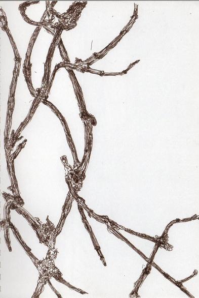 A drawing ink on paper.