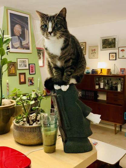 A tabby cat perched on top of an Easter Island tissue dispenser.