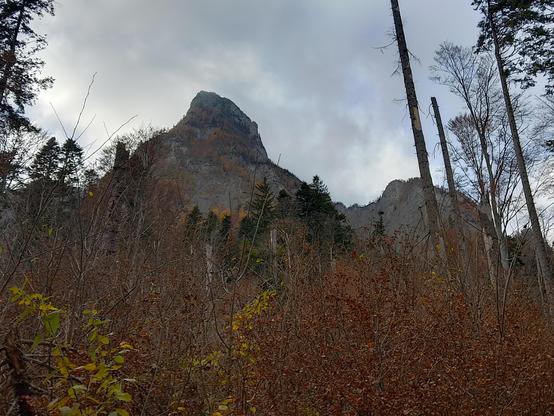 Photo of a mountain taken from a less forested area. It was a cloudy day, albeit not rainy, of autumn. In the background, a peak part of Bucegi mountains is rising, with spots of forest. Since it was autumn, nearly all the trees had falling yellow-orange leaves.