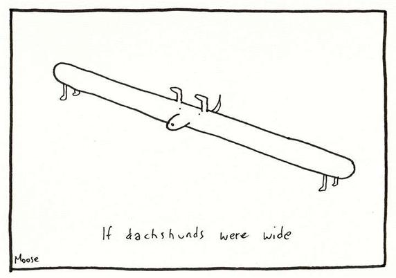 Cartoon drawing of Dachshund that extends widthwise rather than lengthwise