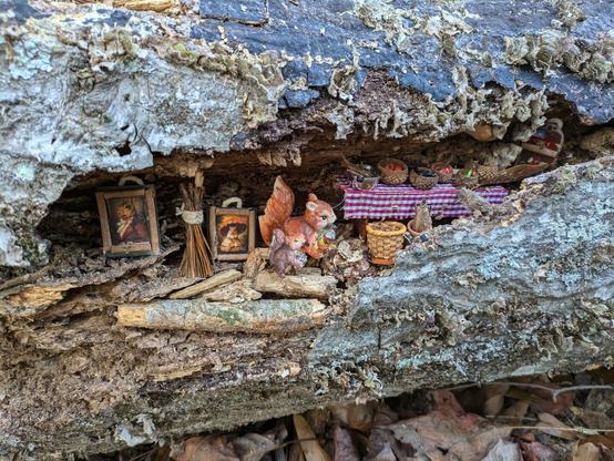 Image of a fallen, gnarled log, with a crevice that someone has adorned with a pair of small squirrel figurines and decorations. There are two miniature paintings, both exquisitely detailed and in a realistic style. One is of a regal-looking squirrel wearing a noble's red petticoat and an ascot, the other of a squirrel wearing a white hoop skirt dress and holding an orange parasol. There's also a small table with a red and white checkered tablecloth, and several tiny baskets made out of acorn caps, and filled with a variety of miniature fruit and fish. In the corner of the crevice is a flat piece of wood painted like a bookcase.