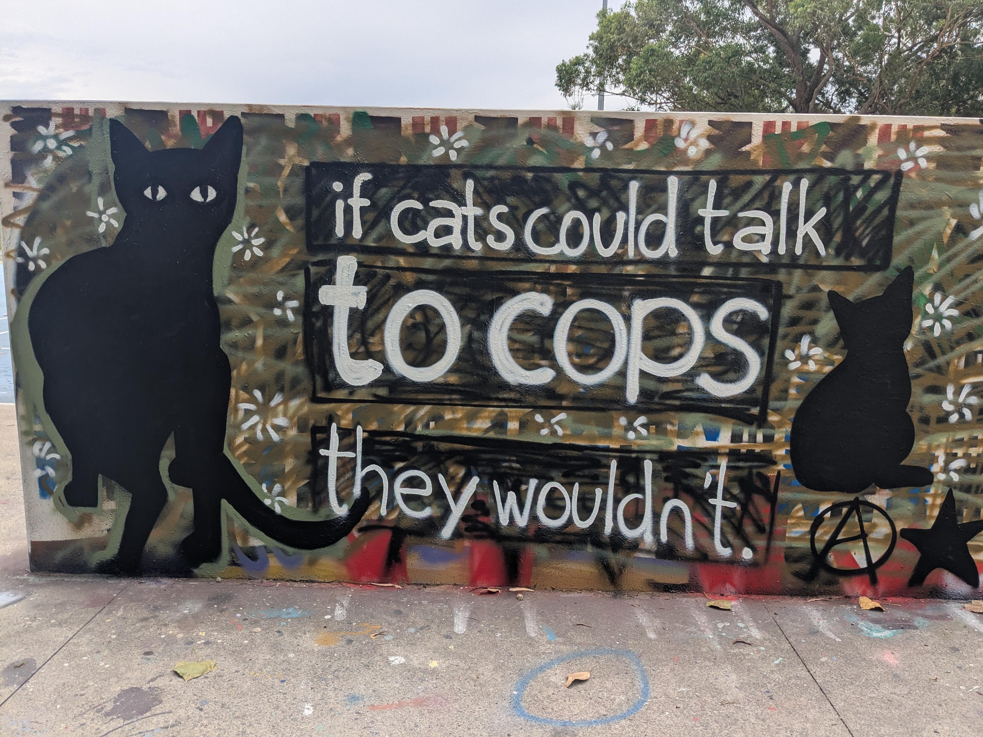 Graffiti on a concrete wall featuring the text from the toot. The text was written on a background with green lines and white flowers. On the left side is the portrayal of a black cat with big white eyes. On the right side is the portrayal of a black cat from behind. Underneath this cat is a capital A in a circle and a black star.