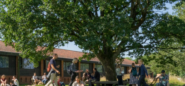 A photo of the Nordic Summer University's 2024 summer session in southern Denmark.