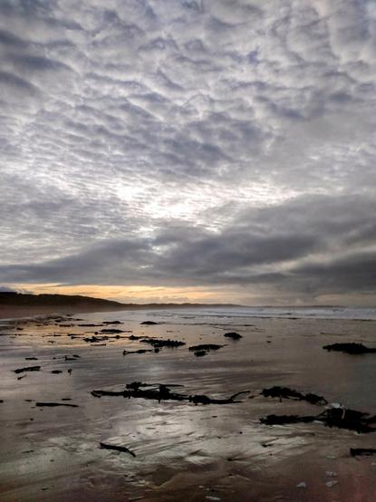 A deserted beach in the evening light. The Atlantic tide is coming in from the right and has already partially washed over the huge beach, leaving the sand glistening wet in the evening light. Dark seaweed is scattered across it. The dunes lie dark on the left. A wide, atmospheric sky stretches over everything, with differently shaped clouds through which light still shines in some places. On the horizon, this light is already orange from the setting sun.

Ein menschenleerer Strand im Abendlicht. Von rechts kommt die Flut des Atlantiks herein und hat den riesigen Strand schon teilweise überspült, sodass der Sand im Abendlicht feucht glänzt. Darauf liegen verstreut dunkle Algen. Links liegen dunkel  die Dünen. Über allem spannt sich ein weiter Himmel mit verschieden geformten Wolken, durch die an einzelnen Stellen noch Licht scheint. Am Horizont ist dieses Licht schon orange von der untergehenden Sonne.