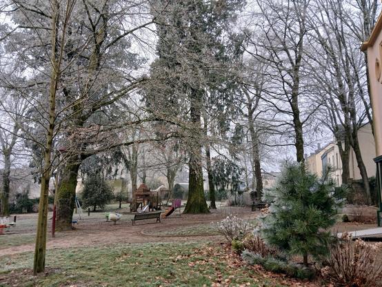 Une vue des arbres givrés dans le parc Gaspar