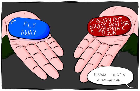 The cartoon shows a scene similar to "Matrix", with two hands being presented to the viewer. On the left, a blue pill labelled "fly away". On the right, a red pill labelled "burn out slaving away for a sociopathic clown". Off-screen, a speech bubble reads "Hmmm that's a tough one..."