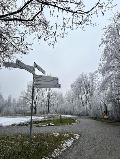 Snow-dusted campus pathway surrounded by frosty trees, with a directional sign pointing toward various university buildings under a cloudy winter sky.