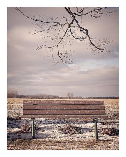 Empty wooden bench in front of a frozen farmer's field. Heavy clouds hang in the sky.