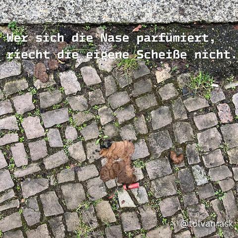 Wer sich die Nase parfümiert, riecht die eigene Scheiße nicht. 

Hintergrund: Hundescheiße auf gepflastertem Boden.