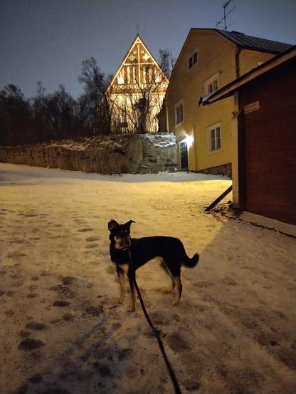 Koira seisoo Vanhassa Porvoossa Sillanmäellä; hyvin jyrkässä mukulakivimäessä. Taustallaan näkyy Sillanmäen tupa ja Porvoon tuomiokirkko. On ilta ja hämärää, maassa on piskuisen lunta.