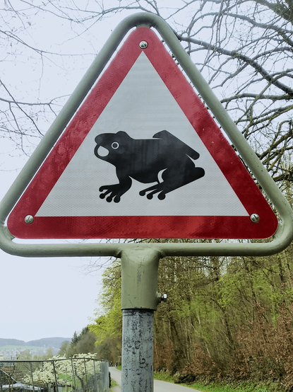 Achtung Forsch! Beeindruckend sind die Zehen.