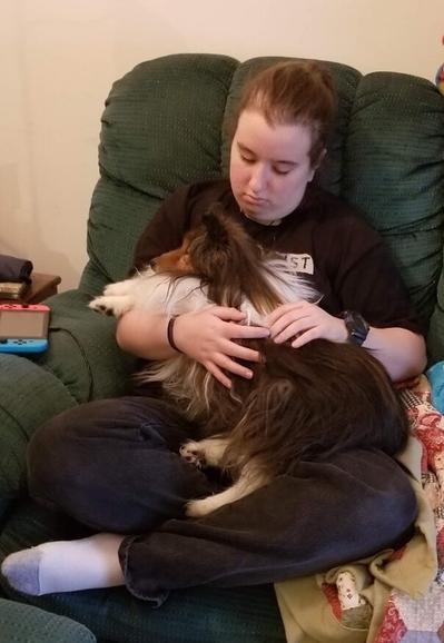 A teenage girl (my daughter Mary) holding a Shetland Sheepdog in her arms. This was Daisy's last day. Daisy died of bladder cancer on 28 Jan 2019, a few days shy of her 16th birthday.