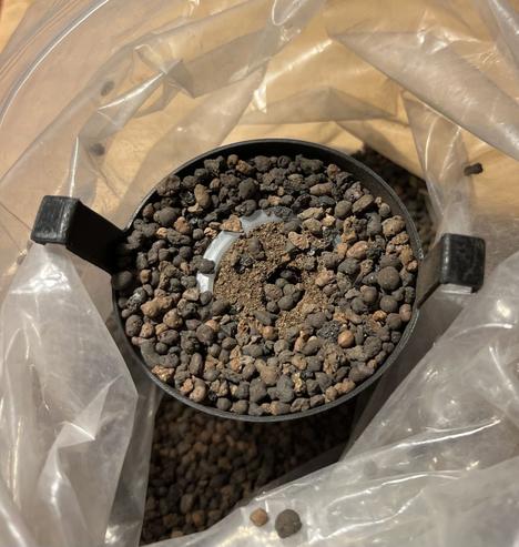 Hko g för hydrokultur fylld med små Leca kulor