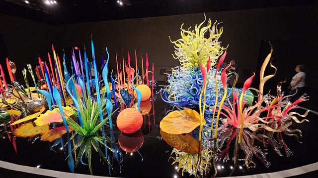 A large glass installation full of individual elements that suggest plants, flowers, and shrubs. All are individually brightly colored representing the full spectrum of colors, but mainly primary colors. In general, the elements are a single color, but may be enhanced by one or more accent colors. Shapes include tall wavy slender stalks widening into leaflike structures, textured orbs, wavy concave discs, clusters of spikes, and a big cylindrical structure consisting of a dense thicket of curly stems. The cylindrical structure is two meters tall and about a meter wide. the curly stems are directed horizontally except for the top where they extend upward and outward.

The whole installation is on a flat black glass that reflects the elements. Strong lighting is from above.