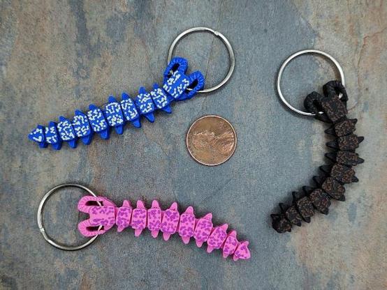 Three 3d printed velvet worm designs. Velvet worms are a worm-like creature with a pair of antennae and many stubby legs. The upper left velvet worm is blue with tan spots. On the right black with brown spots. In the lower left, pink with purple spots. All three have a 1-inch (2.5cm) split ring through the head. In the middle is a US penny for scale.