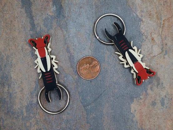 Two 3d printed Lined Earwig designs. The earwig is an insect with a reddish head and thorax, a dark abdomen with pincers on the end, tan legs and a pair of tan stripes down the back. Each earwig has a 1-inch (2.5cm) split ring though the abdomen. The left design is facing upish, the right design is facing down. In between them is a US penny for scale.