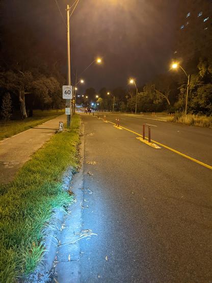 A photo of the wide quick build protected bike lane on Heidelberg Rd. The lane is at least 3 metres wide and there is a yellow line marking the edge, the lane is protected by orange plastic posts sticking up out of a yellow rubber base. In the distance is a 60km/h speed limit sign.