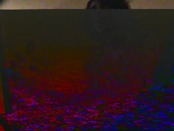art, self portrait glitch