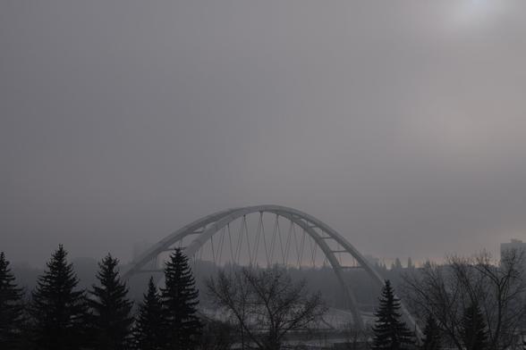 The walterdale bridge in Edmonton covered in fog. Some spruce trees fill out the area below it.
