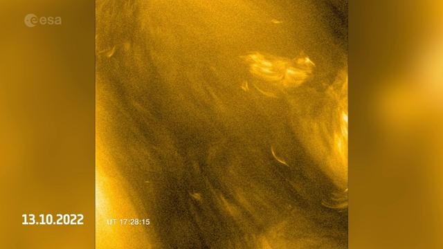 tiny plasma jets in Sun's coronal holes