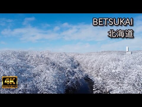 別海町絶景【満開の雪の華】北海道　Superb view of BETSUKAI Town [Snow flowers in full bloom] Hokkaido