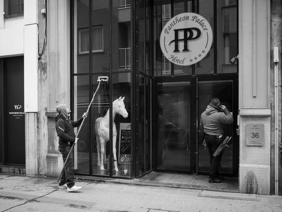 A black and white photo shows a person cleaning the large window of the Pantheon Palace Hotel. The cleaner is using a long-handled squeegee to clean the window, which displays a white horse statue inside.  A second person stands near the hotel entrance, making a phone call. The hotel's logo, a circle with "Pantheon Palace Hotel" and "PP" in stylized lettering, is visible on the window. The building number, 36, is on the wall next to the entrance.

Provided by @altbot, generated using Gemini