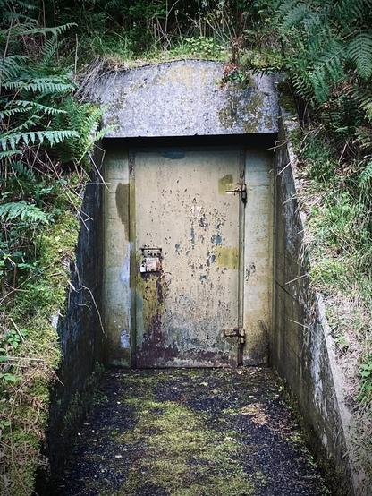 Bunker entrance overgrown and weathered. Door to the bunker in typical green grey colors, the paint chipping of and the white lettered number “17” marked off centeret to the right on the door.