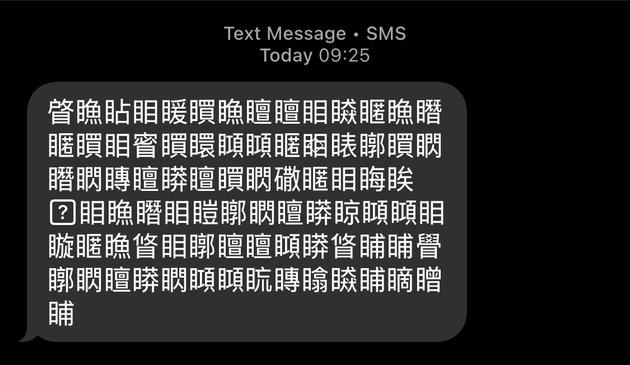 Screenshot of a text message received from a German SMS service from a local resident. The message should be an invitation to Whatsapp and it probably is but it’s likely a mojibaked multi-byte character encoding (like UTF-16) and presents as Chinese logographs which can be common when bytes are shifted incorrectly or a byte-order marker is missing)