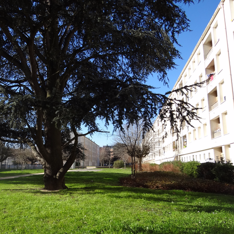 Résidence de la Juncasse à Toulouse