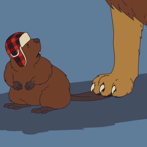 Cartoon. A bevver has its tail stood on by a lion