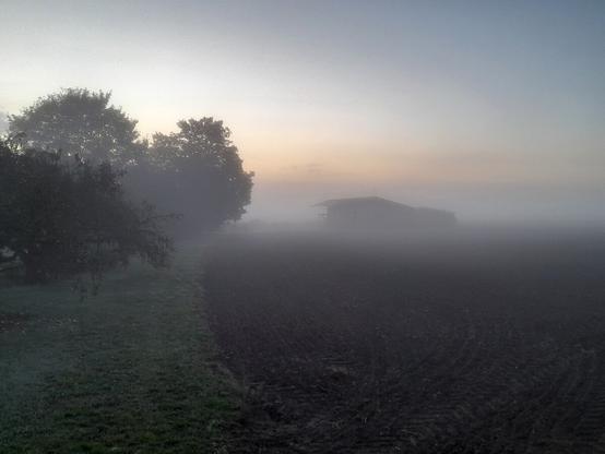 A field during a foggy morning. To the left is some grass with a few trees. To the right is a barren field with a barn barely visible in the distance because of the fog.
