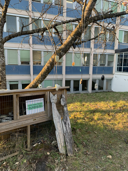 Photo du Computer Mice shelter du CERN