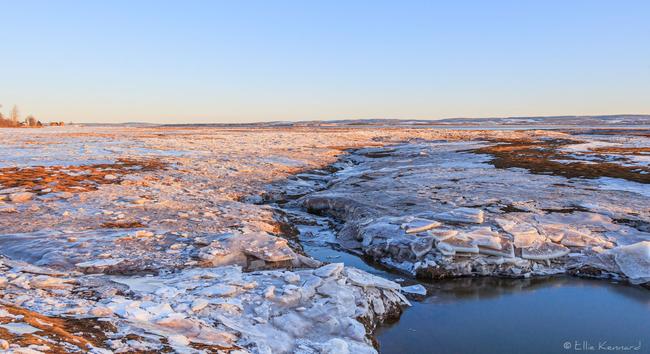 A low undulating landscape of tidal flats in winter, with flat pieces of broken ice scattered on the surface on top of reddish brown earth. It is almost sunset and there is a warm glow on the scene. A small rivulet goes out from the right foreground and winds its way towards the bay we can just make out in the distance. There are low hills across the bay. The sky is clear and blue.