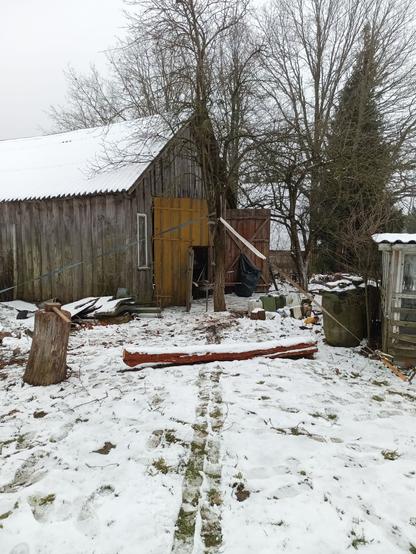 View towards a small barn/workshop/garage. There's two overgrown, sick apple trees near the power line, which is barely even visible in the branches. The nearer tree has two cargo straps attached at a wide open angle, just clearing the barn and a former chicken incubation shack. A large maul rests on a chopping block and a debarked log from the previous tree is covered in snow across the way. A line has been stomped into the snow, leading away from the tree towards the camera.