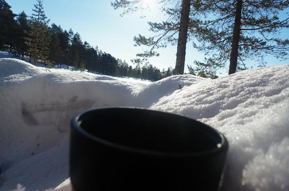 A cup in the snow. The sun shining.