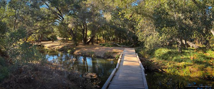A scenic view of a wooden footbridge crossing over a small, calm stream in a forested area. The bridge leads into a sunlit clearing surrounded by tall trees with dense foliage. The water reflects the greenery and the blue sky above, creating a serene and picturesque natural setting. The image captures the tranquility and beauty of nature, making it interesting and relevant for those who appreciate outdoor landscapes and peaceful environments