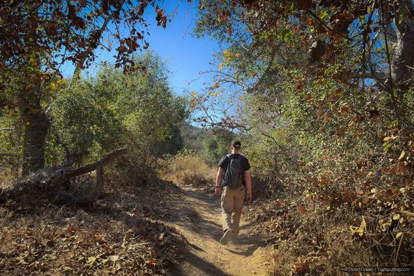A person is walking along a dirt trail in a forested area. The person is wearing a black t-shirt, khaki pants, and a backpack. The trail is surrounded by dense vegetation, including trees and bushes with green and brown leaves. The sky is clear and blue, indicating a sunny day. The image captures the essence of a peaceful hike in nature, highlighting the beauty of the natural environment and the activity of hiking.