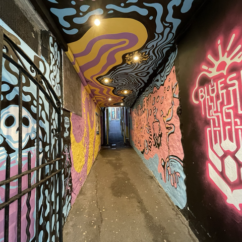 Covered alleyway with walls and ceiling painted with colourful murals