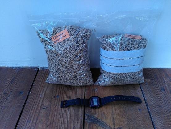 Two 1L plastic bags filled with seed and a watch for size
