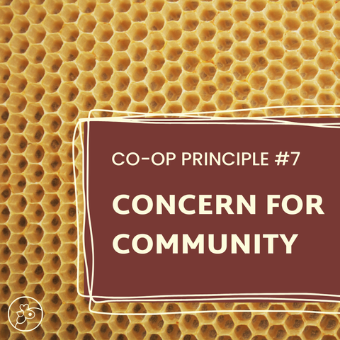 Simple text graphic against a background of natural bee honeycomb in a hexagonal pattern and warm yellow color. The text says, "Co-op Principle #7 - Concern for Community"