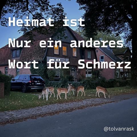 Heimat ist
Nur ein anderes
Wort für Schmerz

Hintergrund: Rehe vor einem dörflich anmutenden Haus während der blauen Stunde kurz vor der Dunkelheit.