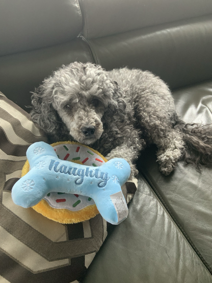 My lovely doggo
