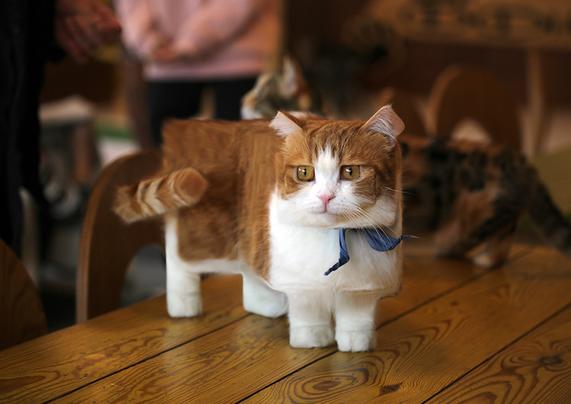 Les animaux en cubes style minecraft de Aditya Aryanto chat