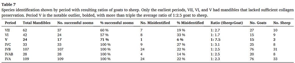 Table showing species identification data across seven archaeological periods (VII to IVA) at Tepe Yahya. Data includes: total mandibles per period (ranging from 24-109), ZooMS success rates (57-100%), misidentification rates (6-33%), and sheep-to-goat ratios. Notable findings: Period V shows highest goat dominance (7.5 goats per sheep); later periods IVA-IVC show more balanced ratios (2.3-3.1 goats per sheep). Collagen preservation issues only affected earliest periods (VII, VI, V). Total sample: 405 mandibles, with goats consistently outnumbering sheep across all periods.