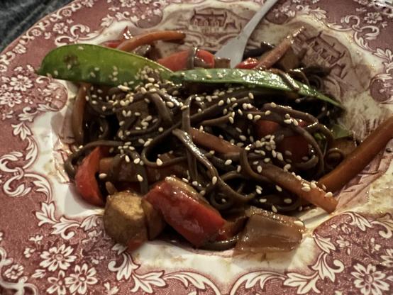 Die Gemüse aus dem vorherigen Foto, im Wok zubereitet, mit dunkler Sauce und gebratenem Räuchertofu, dazu Soba-Nudeln und oben drüber gerösteter Sesam.
