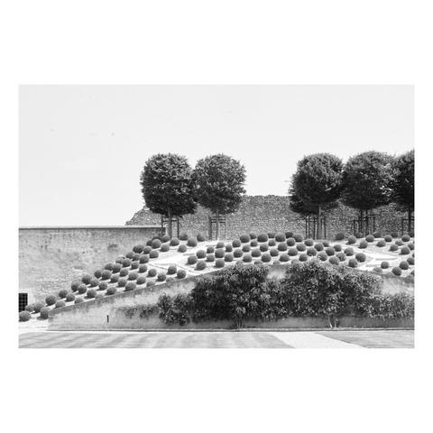 hilltop garden dotted with round shrubs that echo round top trees in an kind of halftone pattern