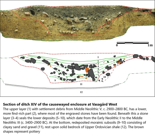 cross sections - Section of ditch XIV of the causewayed enclosure at Vasagård West