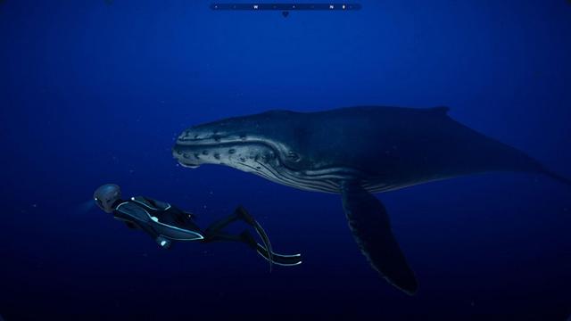 Explore the mystery within the world’s ocean in this single player adventure game titled Beyond Blue

 This is free on Epic Games until February 13