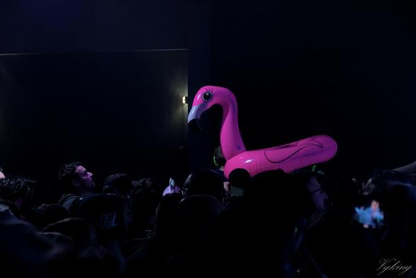 un flamant rose gonflable sur un pogo dans un concert de Eight Sins au Bridge To Hell